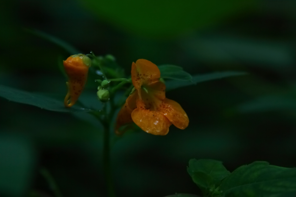 2012 06 12 5888